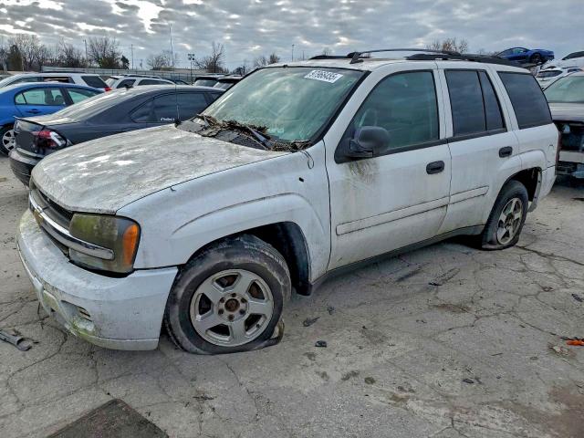 CHEVROLET TRAILBLAZER 2006 with VIN 1GNDT13S462199098 - Photo from auction