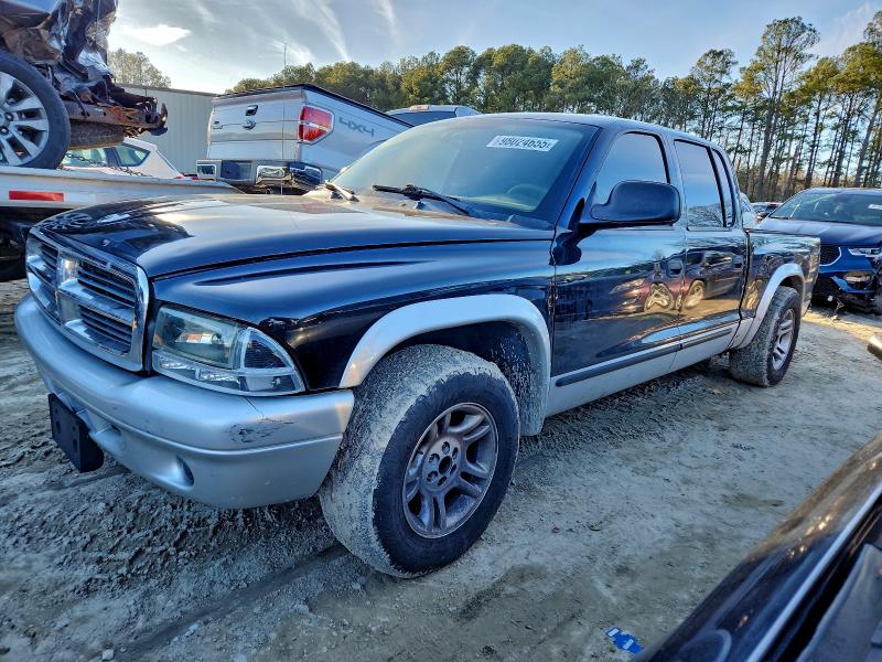 DODGE DAKOTA QUA 2003 with VIN 1D7HL48NX3S181513 - Photo from auction