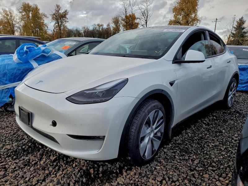 Zdjęcie 1 z aukcji – 2024 TESLA MODEL Y z VIN 7SAYGDEE1RF090254