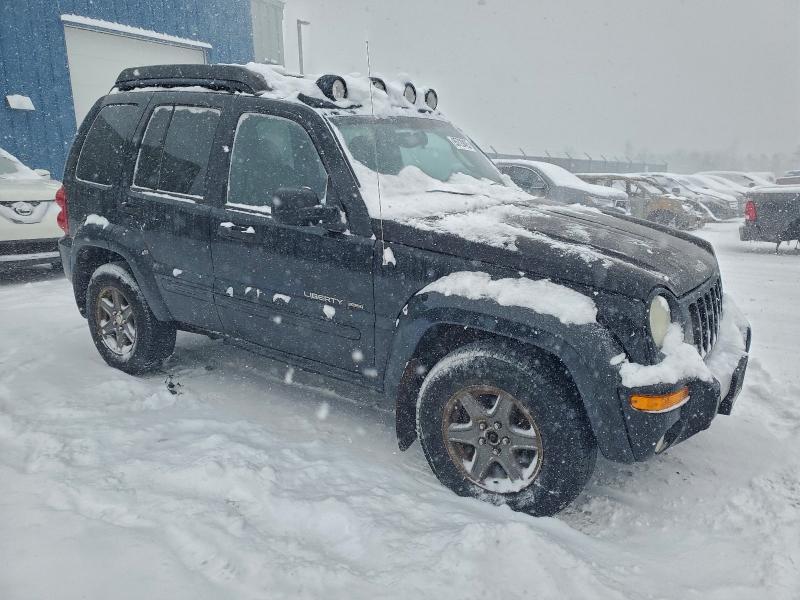 Photo 4 from auction – 2003 JEEP LIBERTY RE with VIN 1J4GL38K93W550564