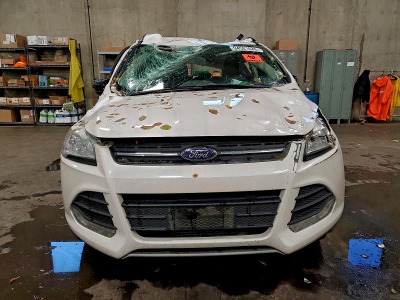 Photo 5 from auction – 2014 FORD ESCAPE SE with VIN 1FMCU9G92EUD08986