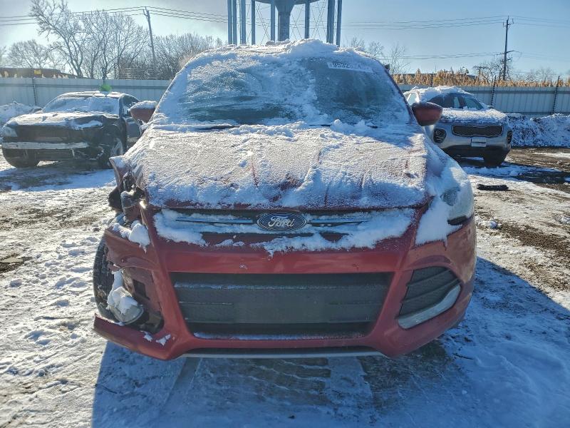 Photo 5 from auction – 2014 FORD ESCAPE SE with VIN 1FMCU0GX8EUC67015