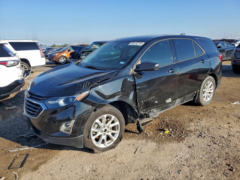 CHEVROLET EQUINOX LS 2019 with VIN 2GNAXHEV6K6301439 - Photo from auction