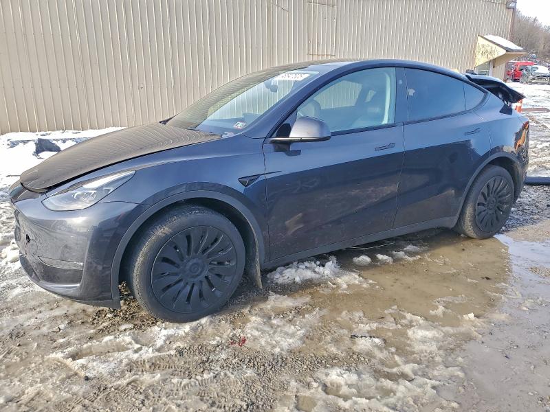 TESLA MODEL Y 2024 with VIN 7SAYGDEEXRA222053 - Photo from auction