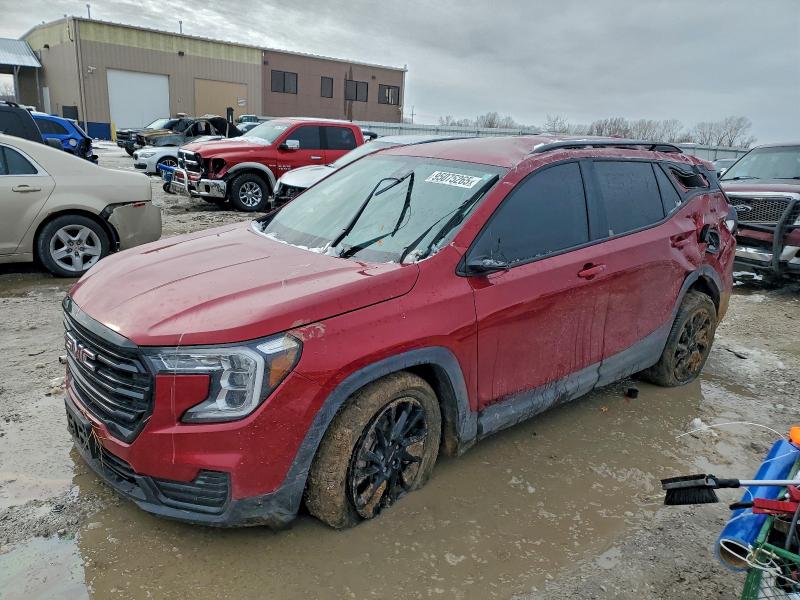 GMC TERRAIN SL 2024 with VIN 3GKALMEG6RL318699 - Photo from auction