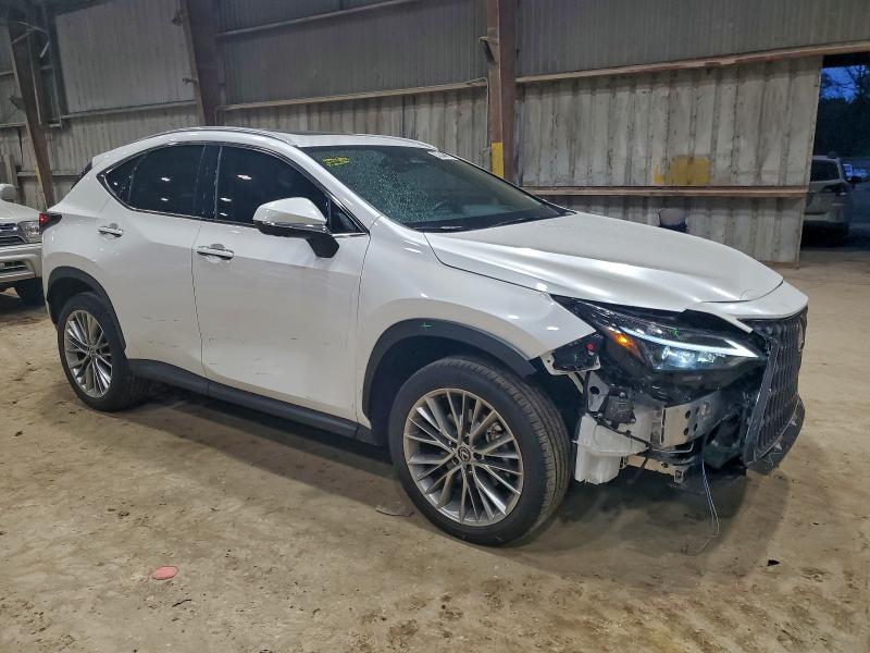 Photo 4 from auction – 2025 LEXUS NX 350 PRE with VIN 2T2GGCEZ6SC087524