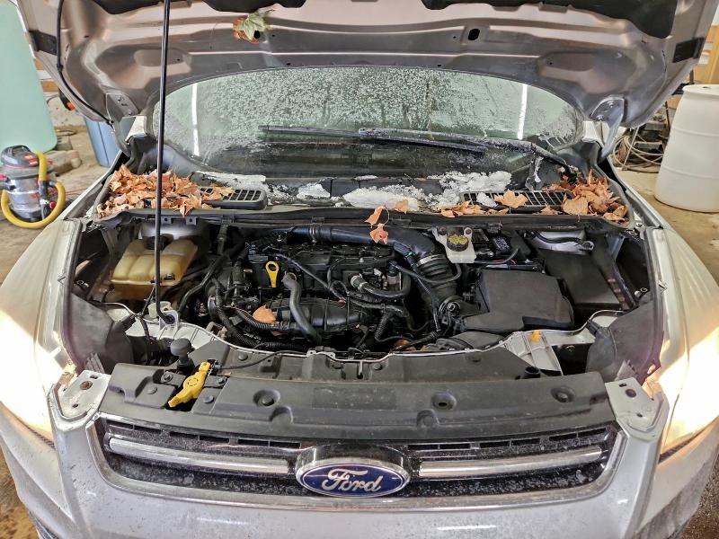 Photo 12 from auction – 2015 FORD ESCAPE TIT with VIN 1FMCU0JX7FUA89849