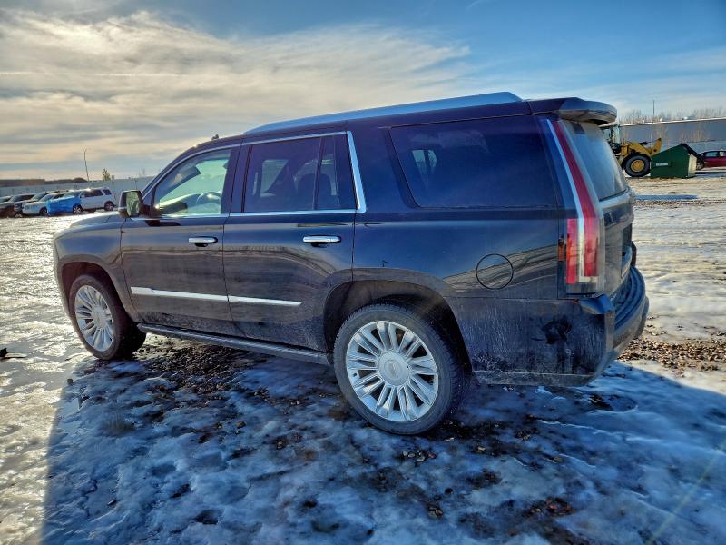 Photo 2 from auction – 2020 CADILLAC ESCALADE P with VIN 1GYS4DKJXLR102684