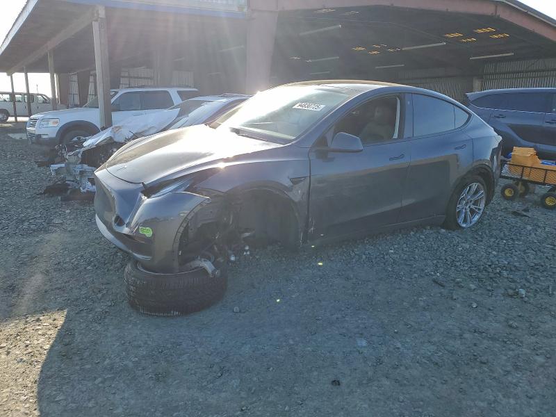 TESLA MODEL Y 2023 with VIN 7SAYGDEE7PF611751 - Photo from auction