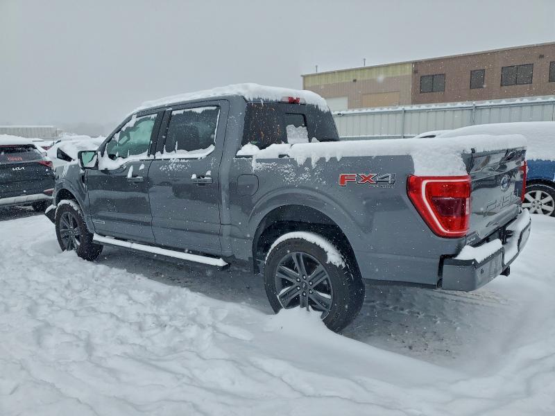 Photo 2 from auction – 2021 FORD F150 with VIN 1FTFW1ED4MFB36791