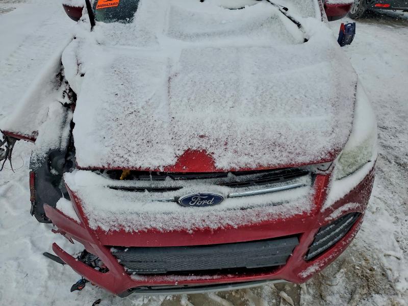 Photo 12 from auction – 2014 FORD ESCAPE SE with VIN 1FMCU9G91EUB41844