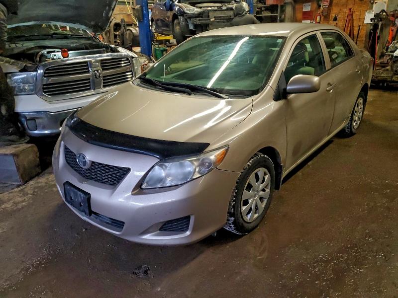 TOYOTA COROLLA 2009 with VIN 2T1BU40E59C181504 - Photo from auction