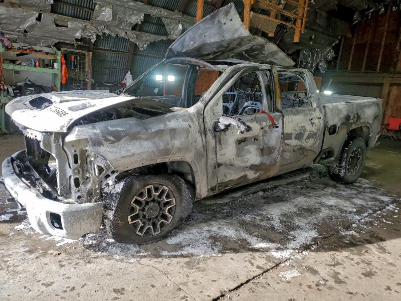 CHEVROLET SILVERADO 2024 with VIN 2GC4YTEY0R1255341 - Photo from auction