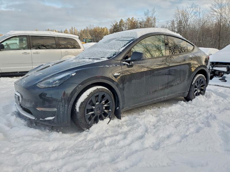 TESLA MODEL Y 2025 с VIN 7SAYGDEE7SF275673 - Фото с аукциона