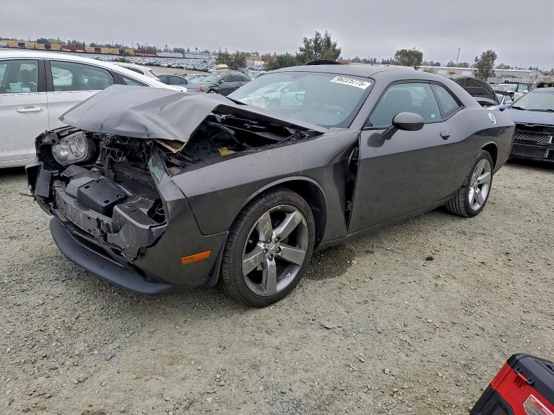 DODGE CHALLENGER 2014 with VIN 2C3CDYAG4EH256208 - Photo from auction