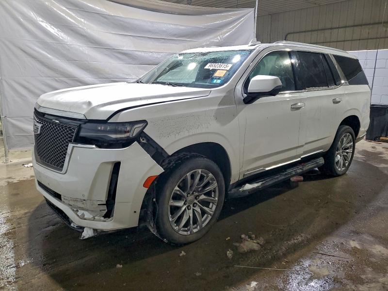 CADILLAC ESCALADE P 2023 with VIN 1GYS4BKLXPR152769 - Photo from auction
