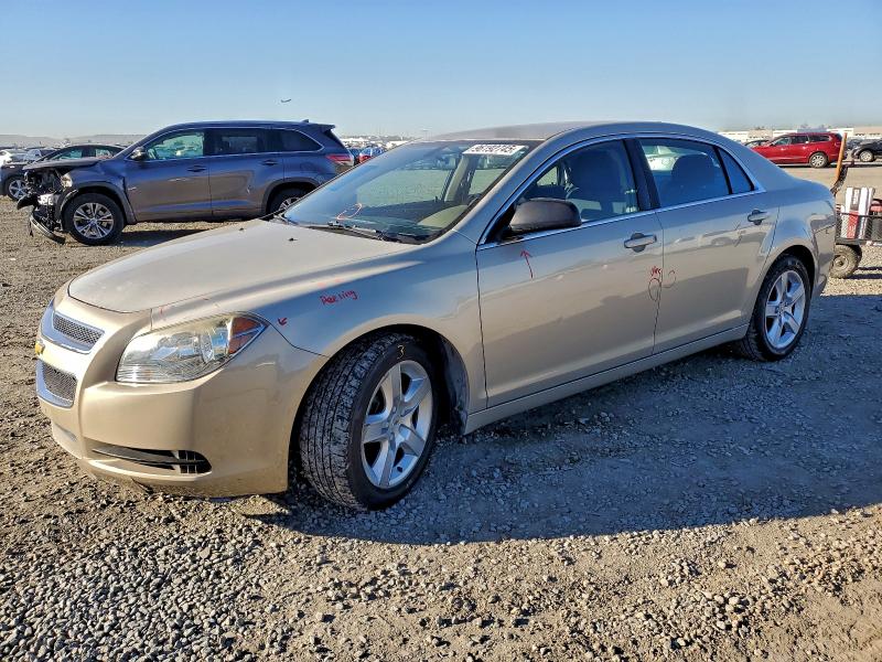 CHEVROLET MALIBU LS 2011 with VIN 1G1ZA5EU3BF123992 - Photo from auction