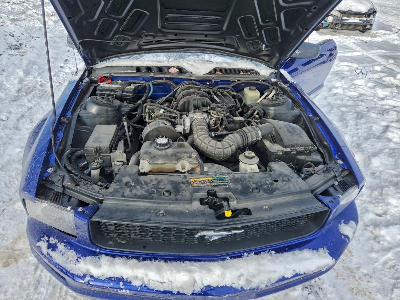 Photo 11 from auction – 2005 FORD MUSTANG with VIN 1ZVFT80N855226791