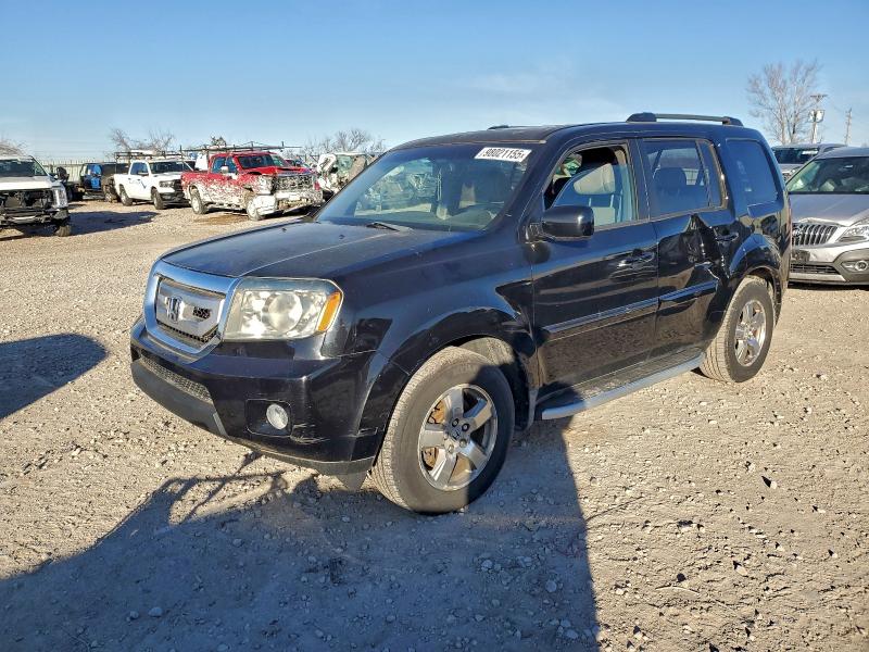 HONDA PILOT EXL 2009 with VIN 5FNYF48699B017363 - Photo from auction