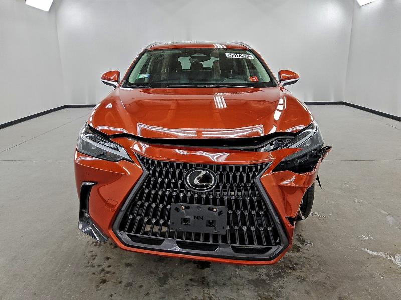 Photo 5 from auction – 2023 LEXUS NX 250 with VIN 2T2GDCAZ1PC003051