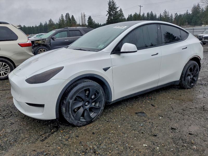 TESLA MODEL Y 2021 with VIN 5YJYGDEE2MF210214 - Photo from auction