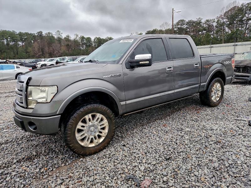 FORD F150 SUPER 2010 with VIN 1FTFW1EV4AFA69002 - Photo from auction