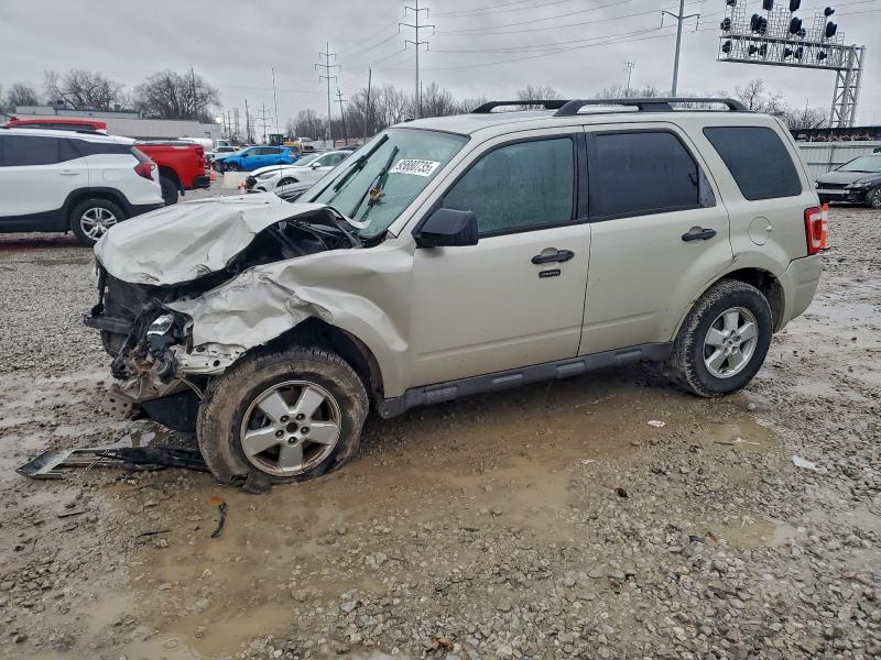 FORD ESCAPE XLT 2009 with VIN 1FMCU03G49KA14653 - Photo from auction