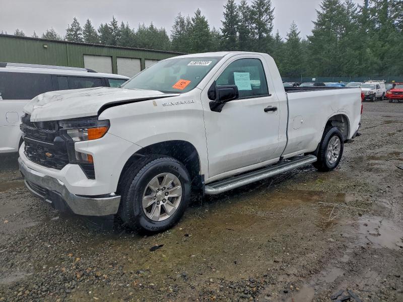 CHEVROLET SILVERADO 2023 with VIN 3GCNAAED8PG316529 - Photo from auction