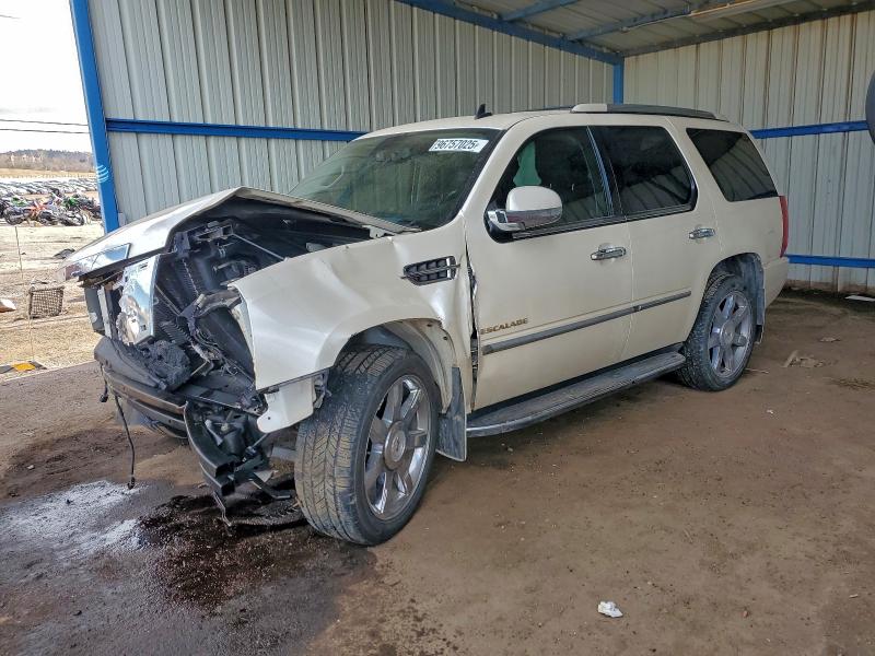 CADILLAC ESCALADE L 2010 with VIN 1GYUKBEFXAR132307 - Photo from auction