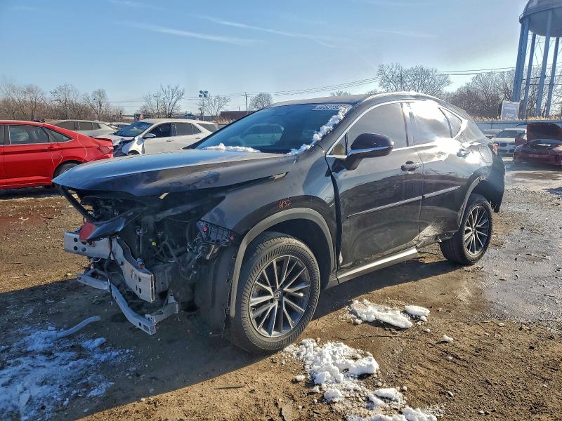 LEXUS NX 250 2023 with VIN 2T2ADCEZ6PC003014 - Photo from auction