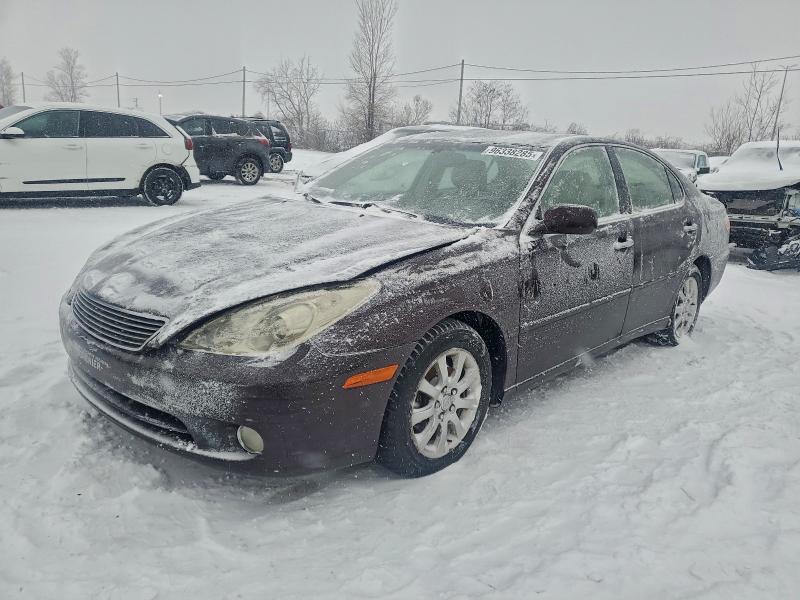 LEXUS ES 330 2006 with VIN JTHBA30G465147520 - Photo from auction