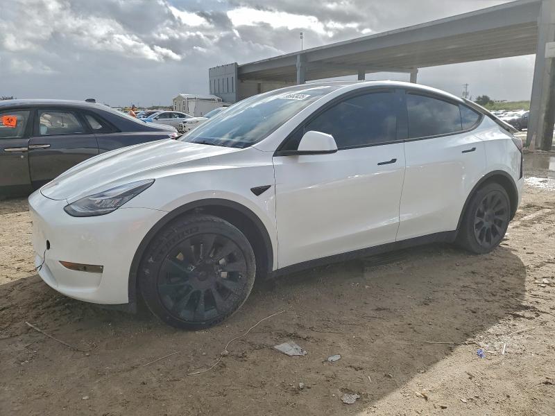 TESLA MODEL Y 2023 with VIN 7SAYGDEE4PA056643 - Photo from auction