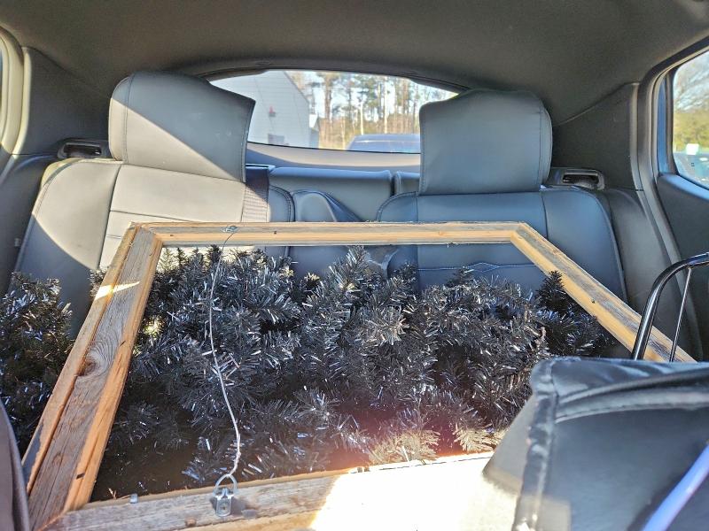 Photo 10 from auction – 2025 BUICK ENVISTA with VIN KL47LAEP7SB065138
