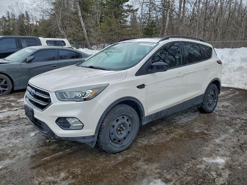 FORD ESCAPE SE 2017 with VIN 1FMCU0GD5HUB17163 - Photo from auction