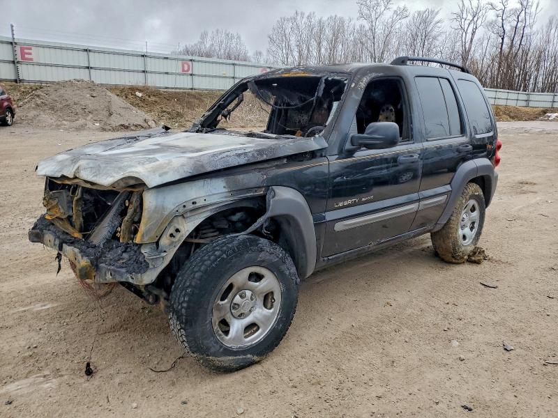 JEEP LIBERTY 2002 with VIN 1J4GL48K92W320317 - Photo from auction