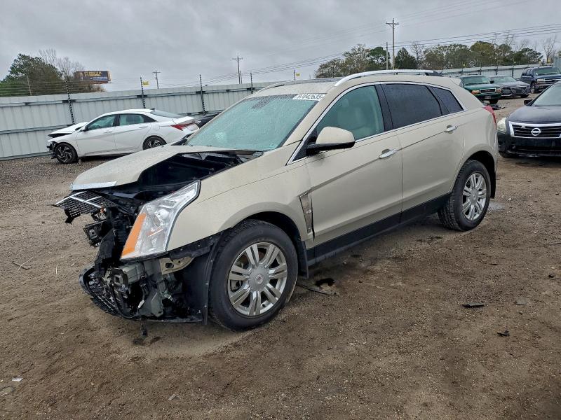 CADILLAC SRX LUXURY 2012 with VIN 3GYFNAE37CS591195 - Photo from auction