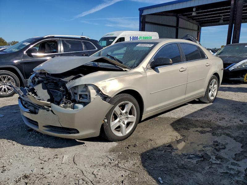 CHEVROLET MALIBU LS 2011 with VIN 1G1ZB5E10BF257605 - Photo from auction