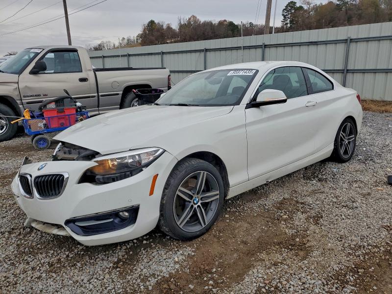 BMW 230I 2017 with VIN WBA2F9C33HV984158 - Photo from auction