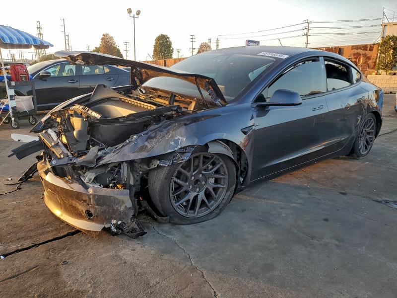 TESLA MODEL 3 2025 with VIN 5YJ3E1EA9SF907467 - Photo from auction