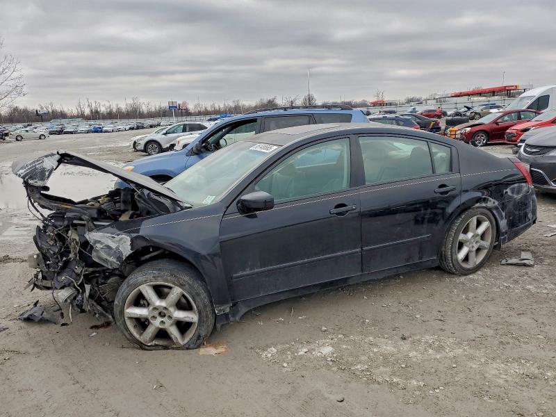 NISSAN MAXIMA SE 2006 with VIN 1N4BA41E76C846601 - Photo from auction