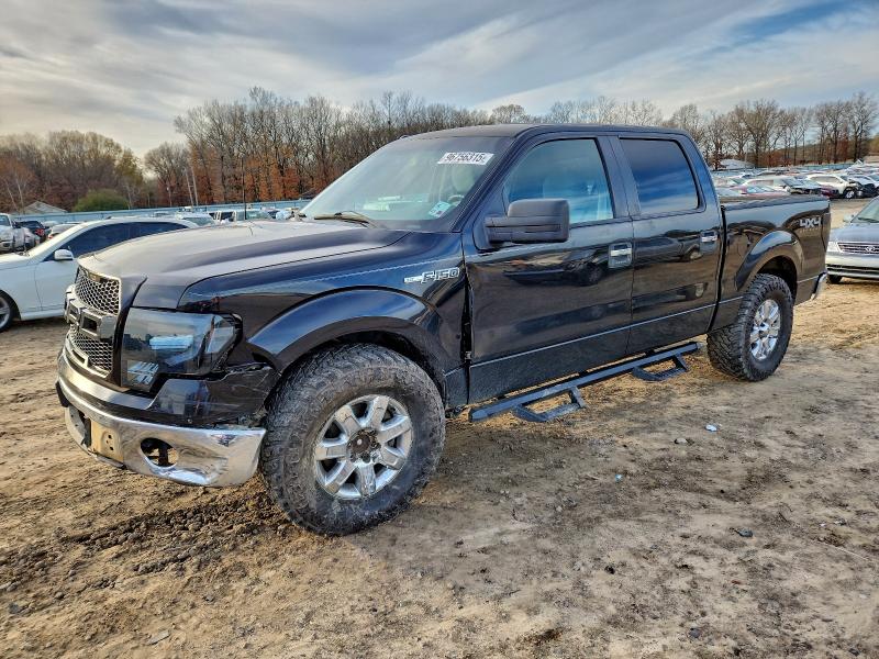 FORD F150 2013 with VIN 1FTFW1EF4DKD20119 - Photo from auction