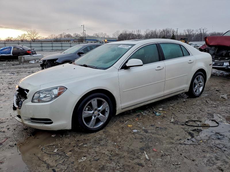 CHEVROLET MALIBU 2LT 2010 with VIN 1G1ZD5EB8AF142932 - Photo from auction