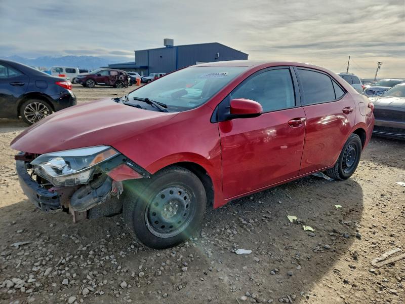 TOYOTA COROLLA L 2016 with VIN 5YFBURHE7GP522433 - Photo from auction