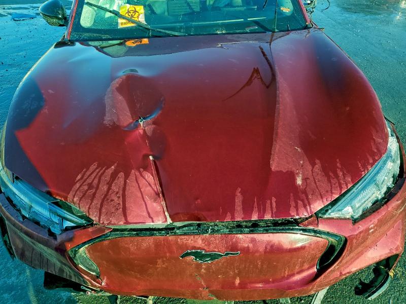 Photo 12 from auction – 2021 FORD MUSTANG MACH-E with VIN 3FMTK3RM0MMA65413