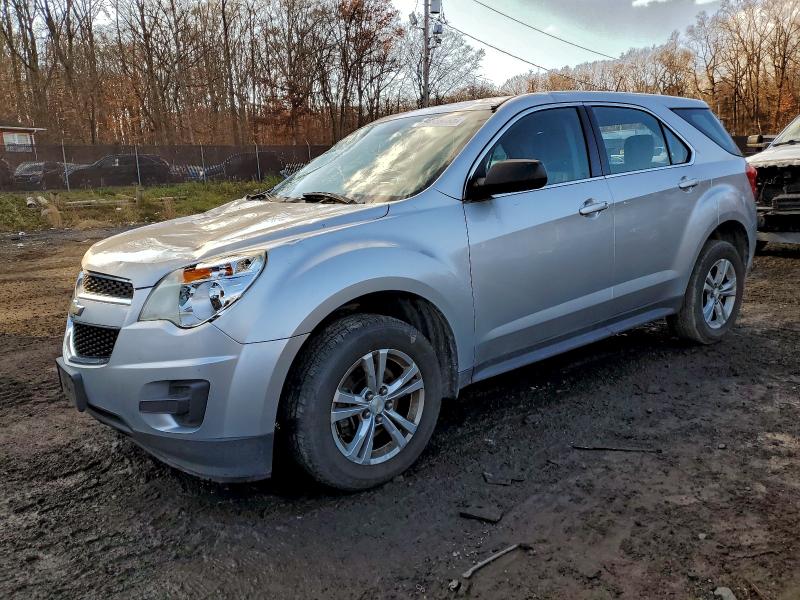 CHEVROLET EQUINOX LS 2013 with VIN 2GNALBEK0D1260546 - Photo from auction