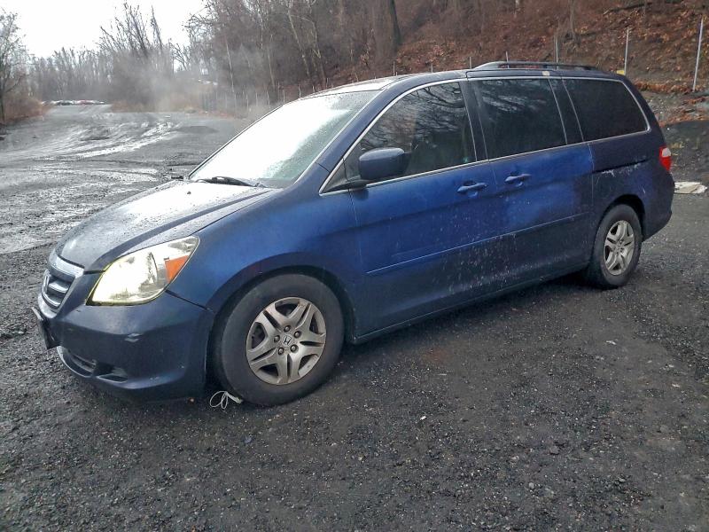 HONDA ODYSSEY 2007 with VIN 5FNRL38607B030541 - Photo from auction