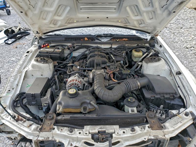 Photo 11 from auction – 2007 FORD MUSTANG with VIN 1ZVFT84N875201273