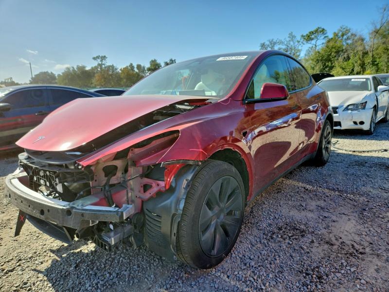 TESLA MODEL Y 2024 with VIN 7SAYGDED4RF152267 - Photo from auction