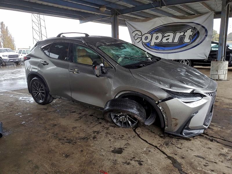 Photo 4 from auction – 2024 LEXUS NX with VIN 2T2ADCAZ7RC008375