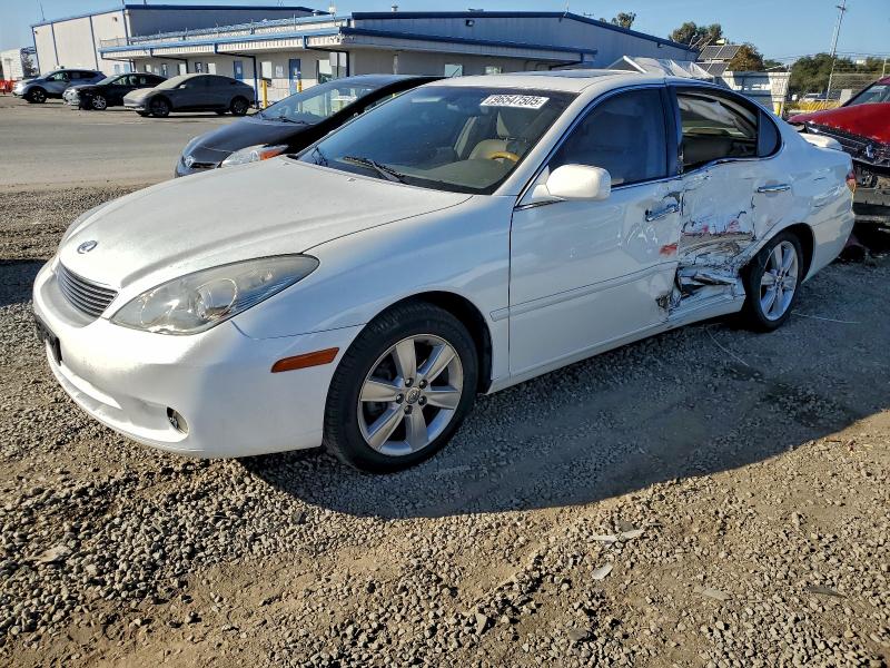 LEXUS ES 330 2005 with VIN JTHBA30G655067389 - Photo from auction